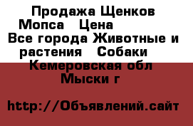 Продажа Щенков Мопса › Цена ­ 18 000 - Все города Животные и растения » Собаки   . Кемеровская обл.,Мыски г.